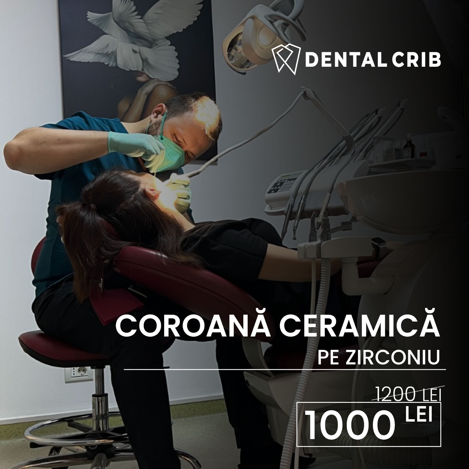 WhatsApp Image 2024-02-01 at 1.02.23 PM